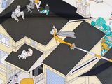 many people on the roof of a house with a cat on the roof