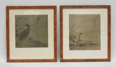 two framed pictures of birds on a wall in a room