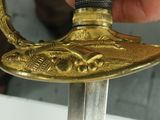 a person holding a gold and black sword in their hand