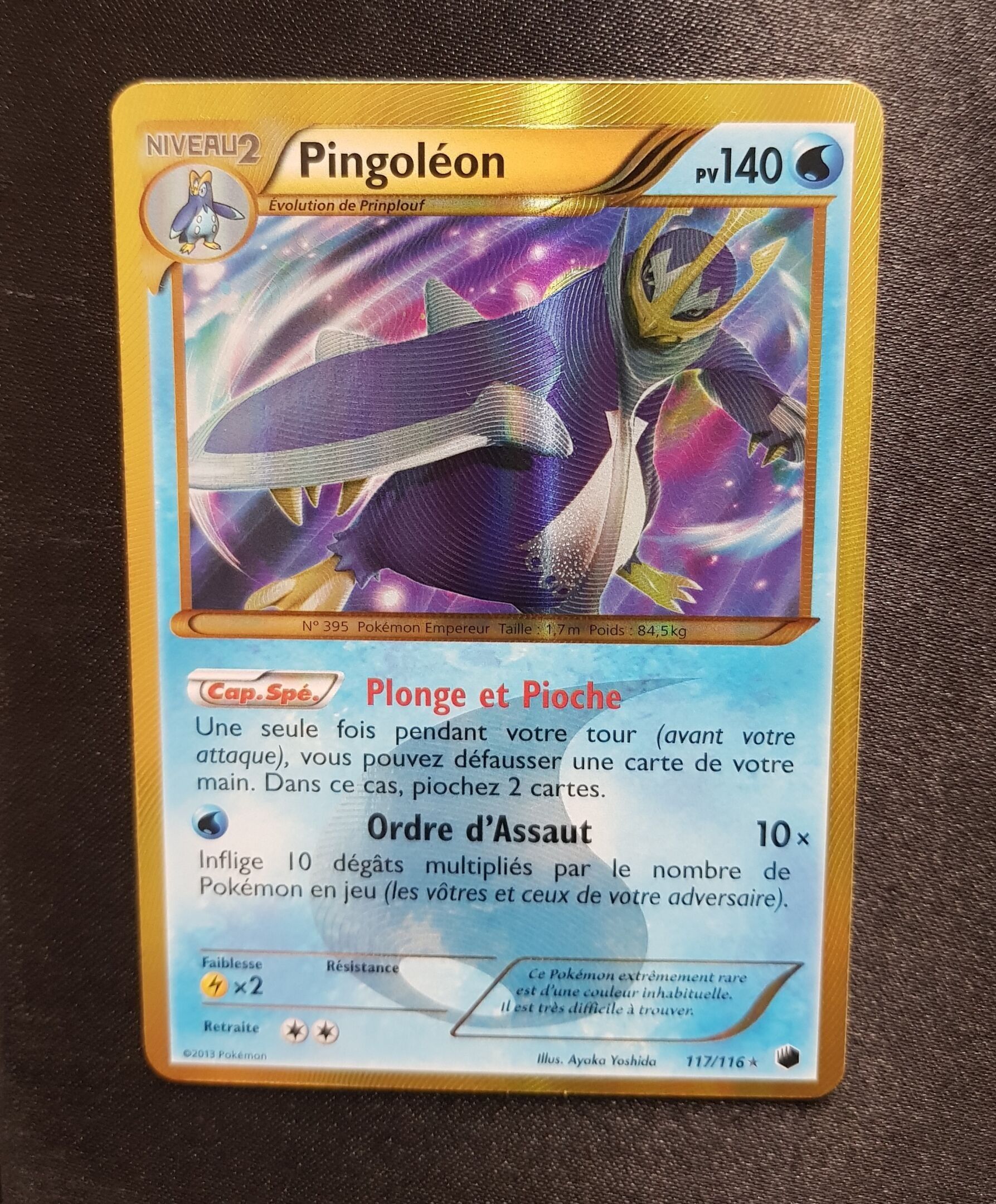 NOIR ET BLANC Glaciation plasma - Pingoleon 117/116 - Near m…