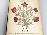 Photo 4/5 du lot