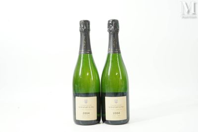 deux bouteilles de vin posées l'une à côté de l'autre sur une surface blanche