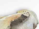a close up of a piece of pottery on a white surface