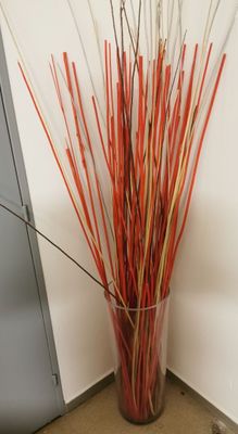 a tall vase with sticks in it next to a door