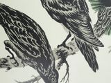 two black birds sitting on a branch of a tree