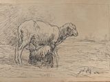 drawing of a sheep and a lamb standing in a field