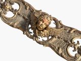 a gold colored metal door handle with a lion head on it