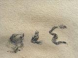 a drawing of a dog and a cat on a towel
