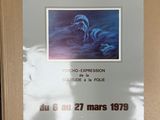 Photo 11/20 du lot
