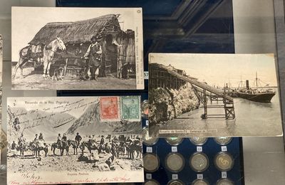 une vitrine contenant de vieilles photos de personnes et de chevaux