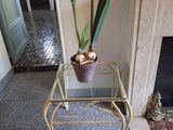 une petite table sur laquelle se trouve une plante en pot, devant une cheminée