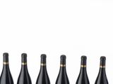 four bottles of red wine lined up in a row
