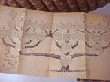 an open book with a drawing of a tree on it