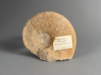 une image représentant un rocher sur lequel est apposée une étiquette