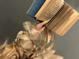 a doll that is holding a book in her hand