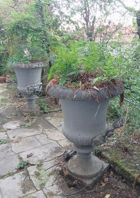 de nombreuses plantes en pot qui sont posées au bord de la route