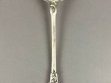 silver spoon with a spoon shaped like a spoon with a spoon handle