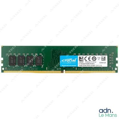 crucial 8gb dd dd dd dd dd dd dd dd dd dd dd dd dd dd dd dd dd dd