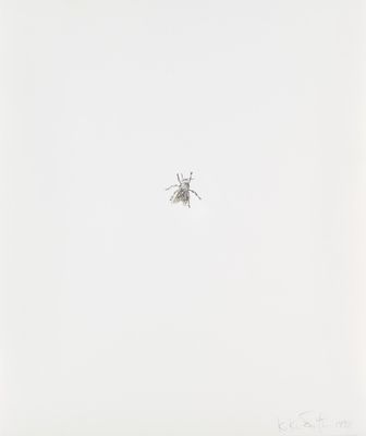 a bug that is flying in the sky on a cloudy day
