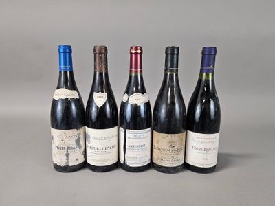 six bouteilles de vin sont alignées sur une surface grise