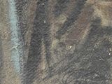 a picture of a painting on the side of a building