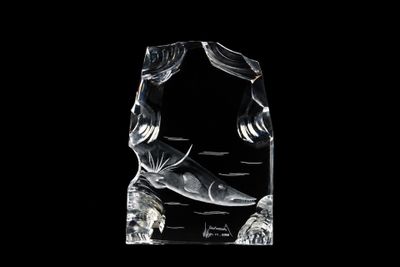 a glass sculpture of a fish on a black background