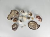 many different types of rocks on a white surface