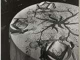 photographie en noir et blanc d'une table sur laquelle sont posés des assiettes et des couverts