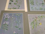 four different pictures of flowers are displayed on a table