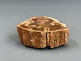 a close up of a piece of wood on a gray surface