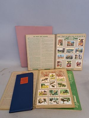 Trois livres sont ouverts sur une table ; on y voit des timbres.