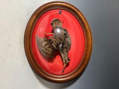 a picture of a picture of a bird in a picture frame