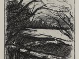 une image représentant un dessin en noir et blanc d'arbres dans la neige