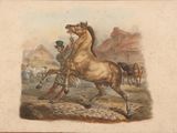 a picture of a horse that is running in the dirt