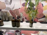 many bottles on a shelf with a plant in it