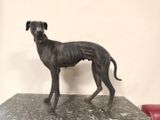 une statue représentant un chien debout sur une table
