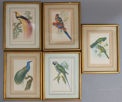 Quatre tableaux représentant des oiseaux colorés sont accrochés au mur d'une pièce.
