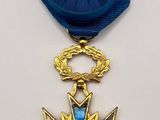 the medal is blue and gold with a star on top of it