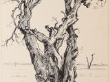 un dessin à l'encre représentant un arbre dans un champ, avec une personne au loin