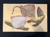 a painting of a fish, a fish, and a shell on a table