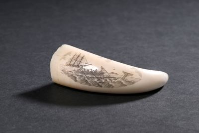 une dent d'éléphant sur laquelle est dessiné un bateau