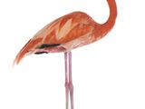 statue of a pink flamingo standing on a black base