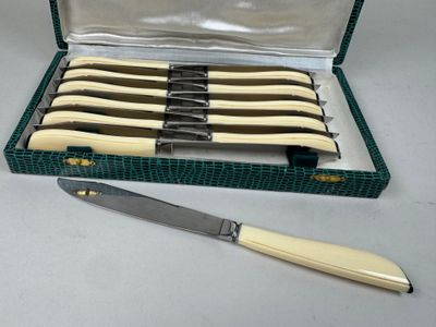 une boîte contenant des couteaux et un aiguiseur