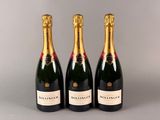 trois bouteilles de champagne sont alignées sur une surface grise