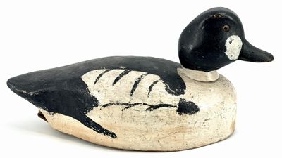 un canard noir et blanc perché sur un rocher