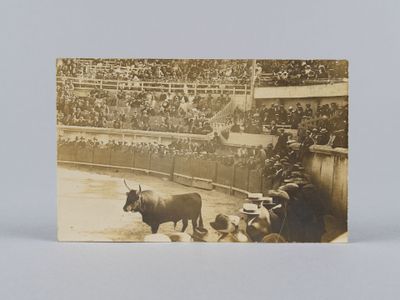 une vieille photo d'un taureau dans une arène