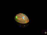 an oplite in the dark with a black background