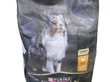 un sac de croquettes pour chien sur lequel figure l'image d'un chien