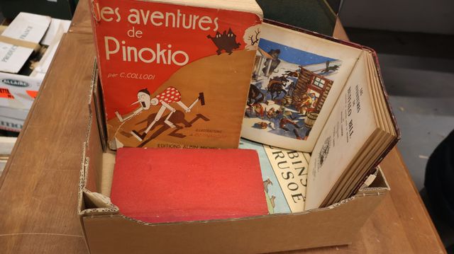 Livres d’enfant « vocabulaire des enfants », les aventures de Pin...