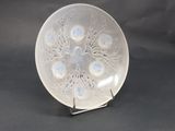 an image of a clear glass plate on a metal stand